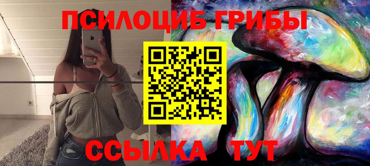 как найти закладки  Вход с VPN  Псилоцибиновые грибы Magic Shrooms  Великий Новгород  Псилоцибиновые грибы Magic Shrooms 